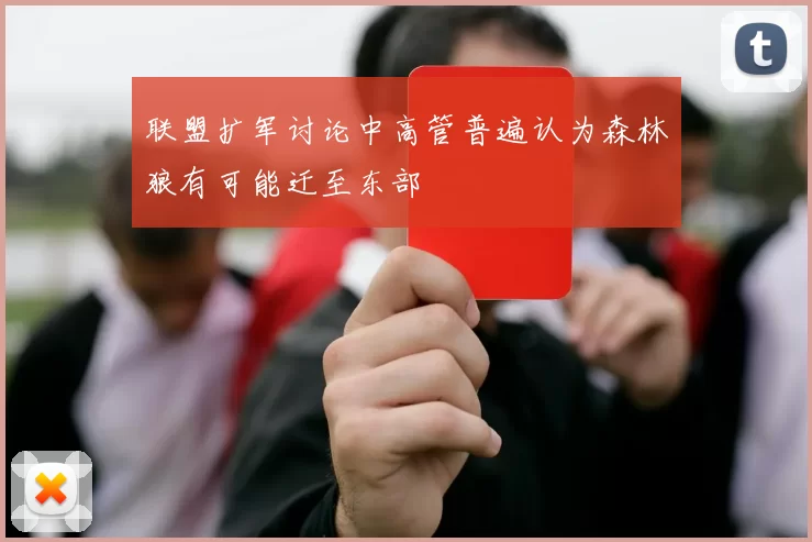 联盟扩军讨论中高管普遍认为森林狼有可能迁至东部