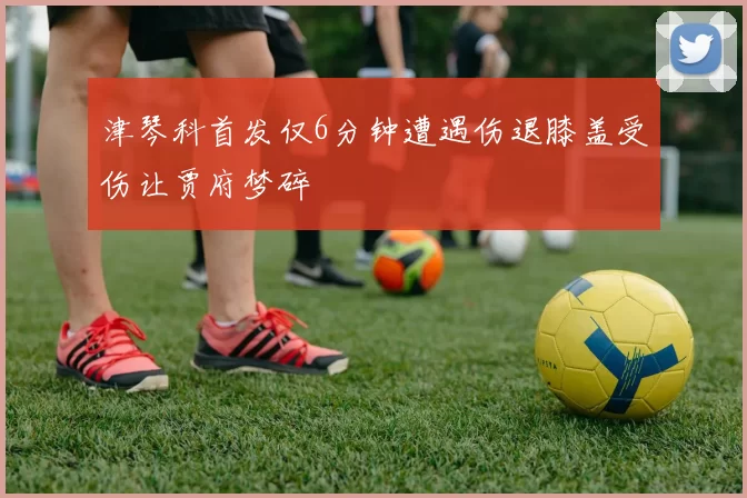 津琴科首发仅6分钟遭遇伤退膝盖受伤让贾府梦碎
